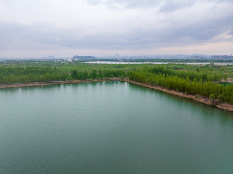 济南龙湖湿地