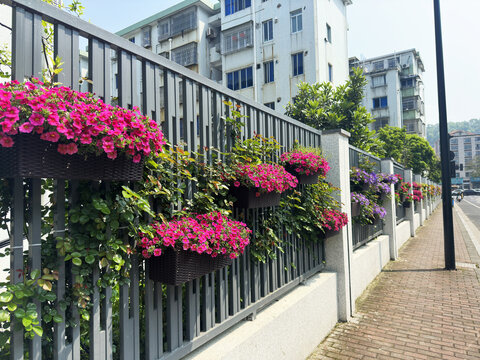 花篮装饰墙