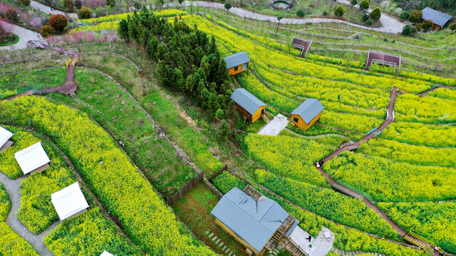 航拍下的方滩乡绿色植物园