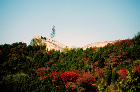 北京八达岭长城红叶岭