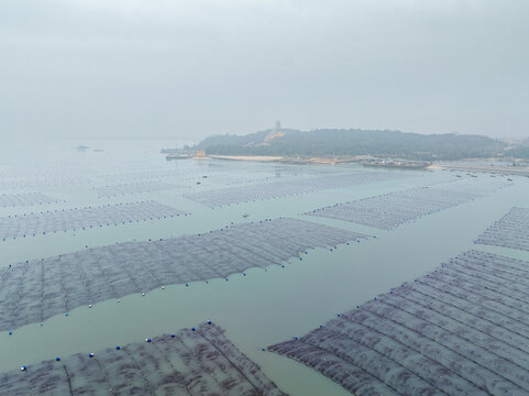 福建莆田湄洲湾海上养殖