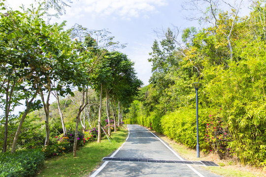 三亚鹿回头景区美丽道路