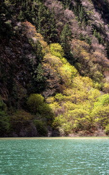 川西春日湖边风景