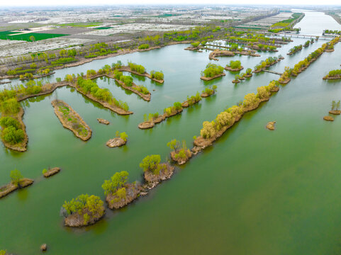 大沙河湿地景观