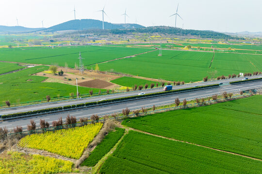 田间