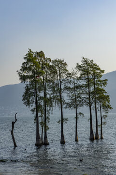 洱海风光