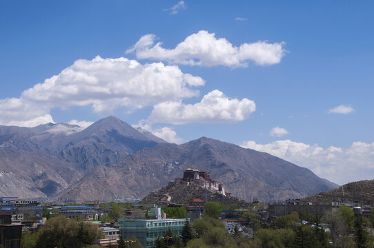 青藏高原风景