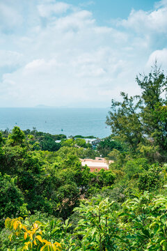 海岛山海绿色山林