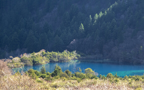 晴天日出九寨沟树正群海