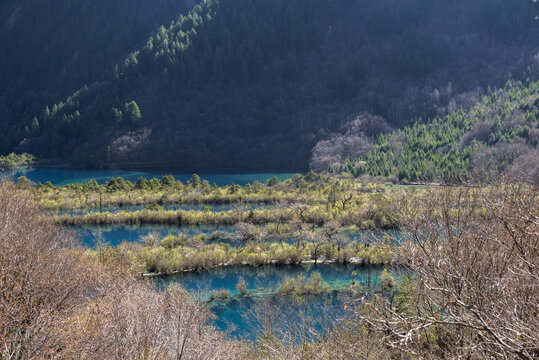 晴天日出九寨沟树正群海