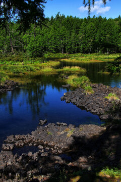 阿尔山杜鹃湖火山口湖