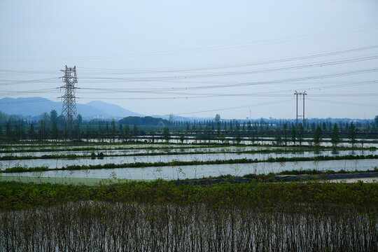 电塔