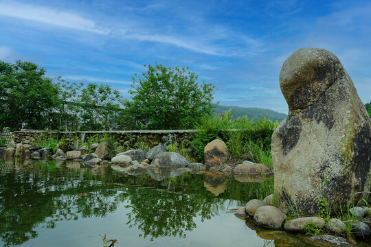 乡村风景