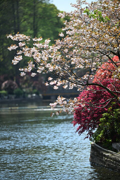 鲁迅公园湖景