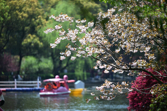 上海鲁迅公园