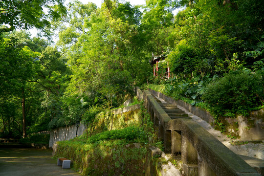 重庆南泉建文峰游步道