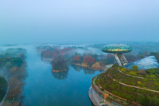 杭州西溪湿地公园自然风光