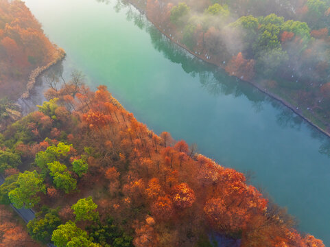 杭州西溪湿地公园风光