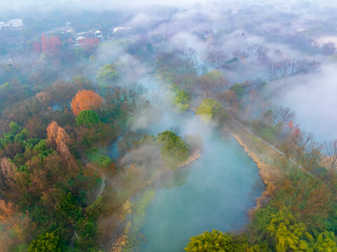 杭州西溪湿地公园森林风光