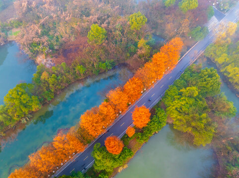航拍下的杭州西溪湿地自然风光