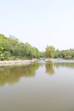 广富林郊野公园树林