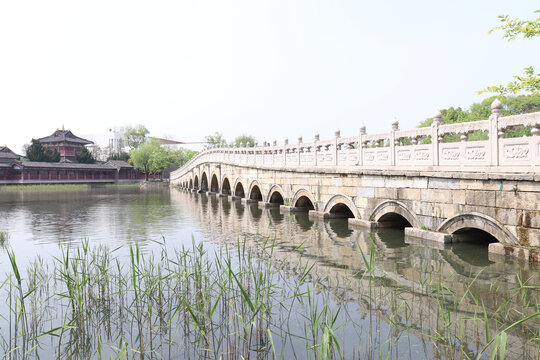 上海广富林郊野公园内部桥