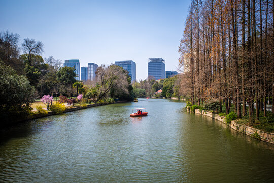 春日公园游湖划船风景