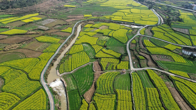 湖北省咸宁市大幕山油菜花