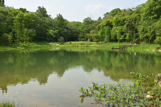 广阳岛上好风光