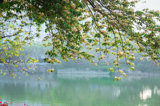 惠州西湖风景名胜区