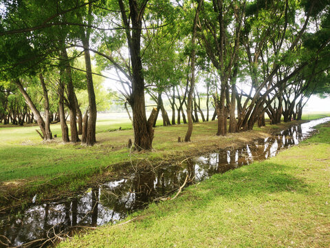 大理剑川剑湖