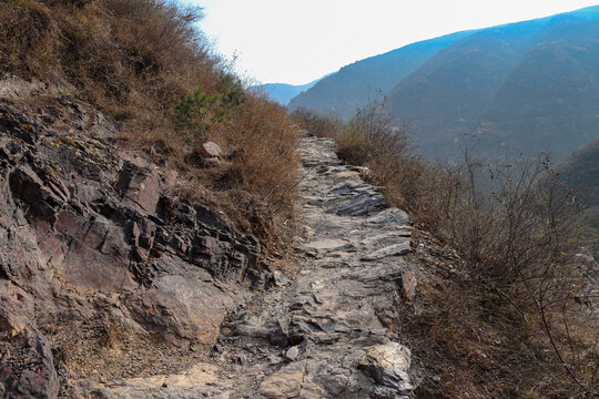 爬野山