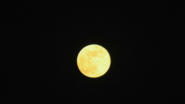 金黄的月亮