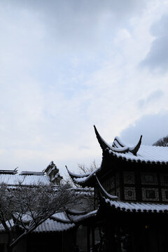 留园雪景