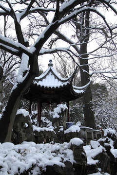 留园雪景