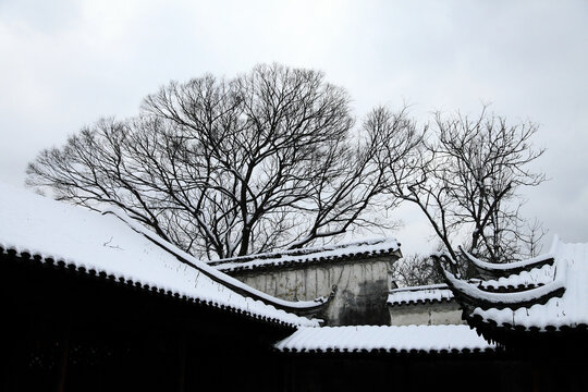 冰天雪地