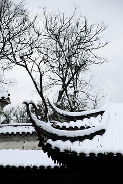 留园雪景