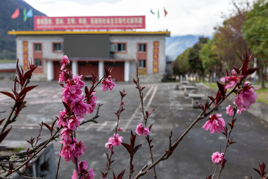 易贡茶场礼堂