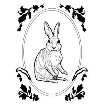 兔子边框