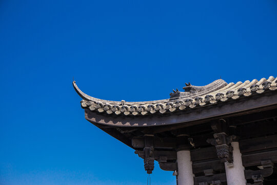 晴空万里的江边风景