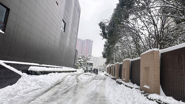 雪景