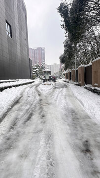 雪景