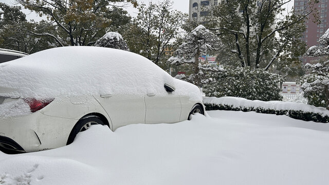 雪景