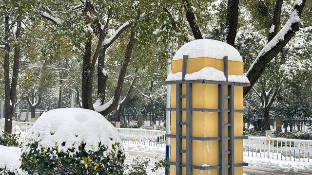 雪景