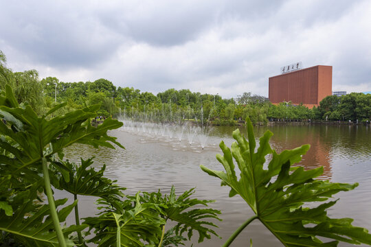 重庆大学