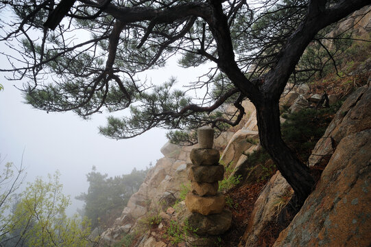 莱州大基山风光