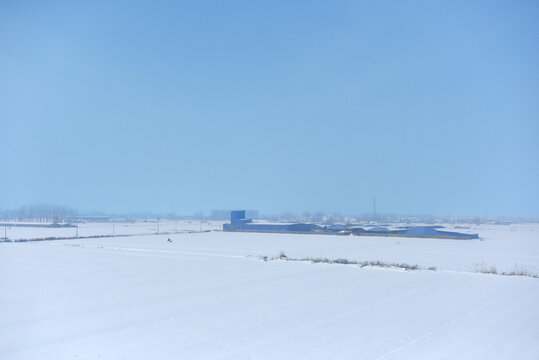 平原地区的雪地