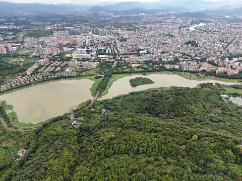 城市湿地公园