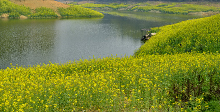 河畔风光