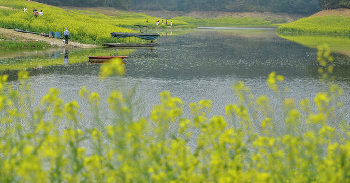 宜州风景